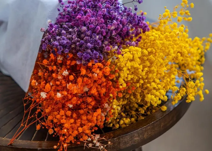 Viroga Castel Volturno